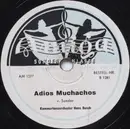 Schellack - Hans Busch Tanz-Orchester - Es Wird In Hundert Jahren Wieder So Ein Frühling Sein / Adios Muchachos