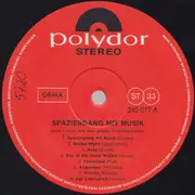 LP - Hans Carste Und Sein Orchester - Spaziergang Mit Musik