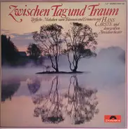Dvorak / Wagner / Brahms a.o. - Zwischen Tag Und Traum