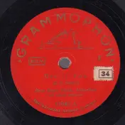 Hans Georg Schütz - Drolly-Fox / Drahthaarfox