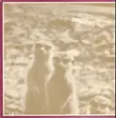 LP - Hans Reichel / Achim Knispel - Erdmännchen: 6 Pieces For 2 Guitars - fmp