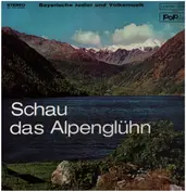 Hans Saurer