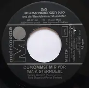 Hans Und Ellen Kollmannsberger Und Die Wendelsteiner Musikanten - Du Kommst Mir Vor Wia A Sternderl / Wenn Die Schwalben Wiederkehren