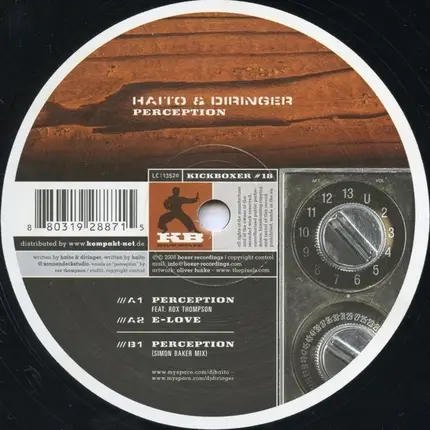 Haito Göpfrich & Diringer - Perception