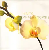 HAITO GÖPFRICH - Phalaenopsis
