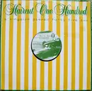 12'' - Haircut One Hundred - Love Plus One