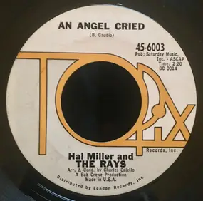 The Rays - An Angel Cried / Hope, Faith And Dreams