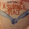 7inch Vinyl Single - Hal Stevens - Theme From A Summer Place