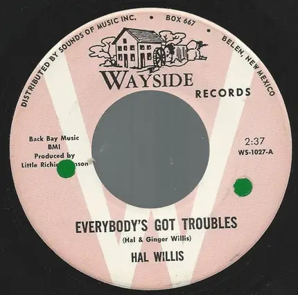 Hal Willis - Everybody's Got Troubles