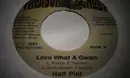 7inch Vinyl Single - Half Pint - Love What A Gwan