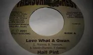 Half Pint - Love What A Gwan