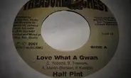 Half Pint - Love What A Gwan