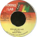 7inch Vinyl Single - Half Pint - Please Oh Jah