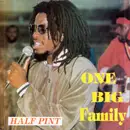 LP - Half Pint - One Big Family