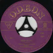 Hallertauer Bauernkapelle - Kirta Polka