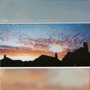 Halley - Forget The Leaves, Autumn Will Change Us