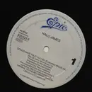 12inch Vinyl Single - Halo James - Could Have Told You So - No Cover