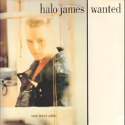 12inch Vinyl Single - Halo James - Wanted