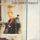 12inch Vinyl Single - Halo James - Wanted