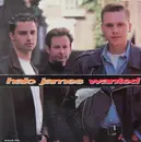7inch Vinyl Single - Halo James - Wanted
