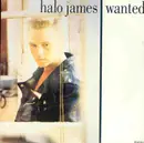 7inch Vinyl Single - Halo James - Wanted