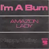 7inch Vinyl Single - Happy Valley - I'm A Bum