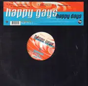 12inch Vinyl Single - Happy Gays - Happy Days