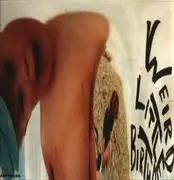 LP - Happyness - Weird Little Birthday
