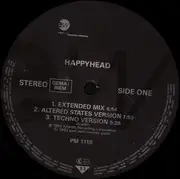 12inch Vinyl Single - Happyhead - Fabulous