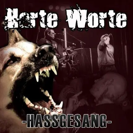 HARTE WORTE - HASSGESANG
