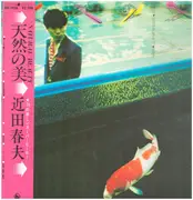 LP - Haruo Chikada - 天然の美 - OBI + INSERT