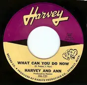 Harvey - What Can You Do Now