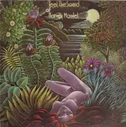 LP - Harvey Mandel - Feel The Sound Of Harvey Mandel