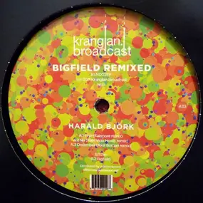 HARALD BJÖRK - Bigfield Remixed