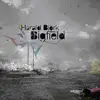 CD - Harald Björk - Bigfield