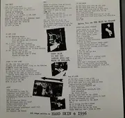 LP - Hard Skin - Hard Nuts And Hard Cunts