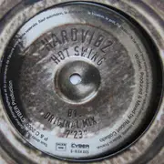 12'' - Hardvibz - Hot Swing