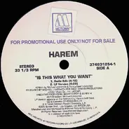 Harem - Is This What You Want