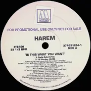 Harem - Is This What You Want