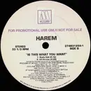 LP - Harem - Is This What You Want