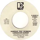 7inch Vinyl Single - Hargus Robbins - Canadian Sunset