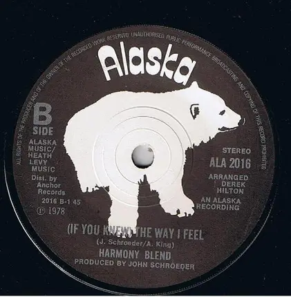 Harmony Blend - Blue City (Paloma Blanca)