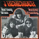 7inch Vinyl Single - Harmony Grass - I Remember