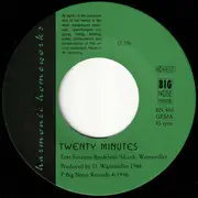 7inch Vinyl Single - Harmonic Homeworks - Twenty Minutes