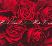 Harold Budd & Hector Zazou - Glyph