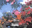 Double CD - Harold Budd - Avalon Sutra - Digipak