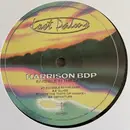 12inch Vinyl Single - Harrison BDP - Invisible In The Dark EP