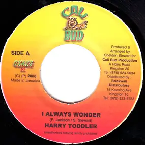 Harry Toddler - I Always Wonder