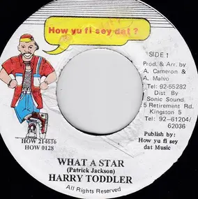 Harry Toddler - What A Star