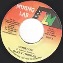 7inch Vinyl Single - Harry Toddler / Xkaliba - Modeling / Weh Dem Feel Like